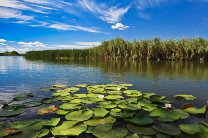 Danube Delta, Romania